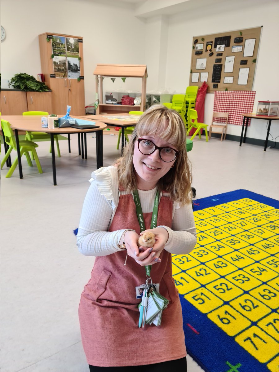 What a lovely little cuddle of one of the chick's this morning 🥰