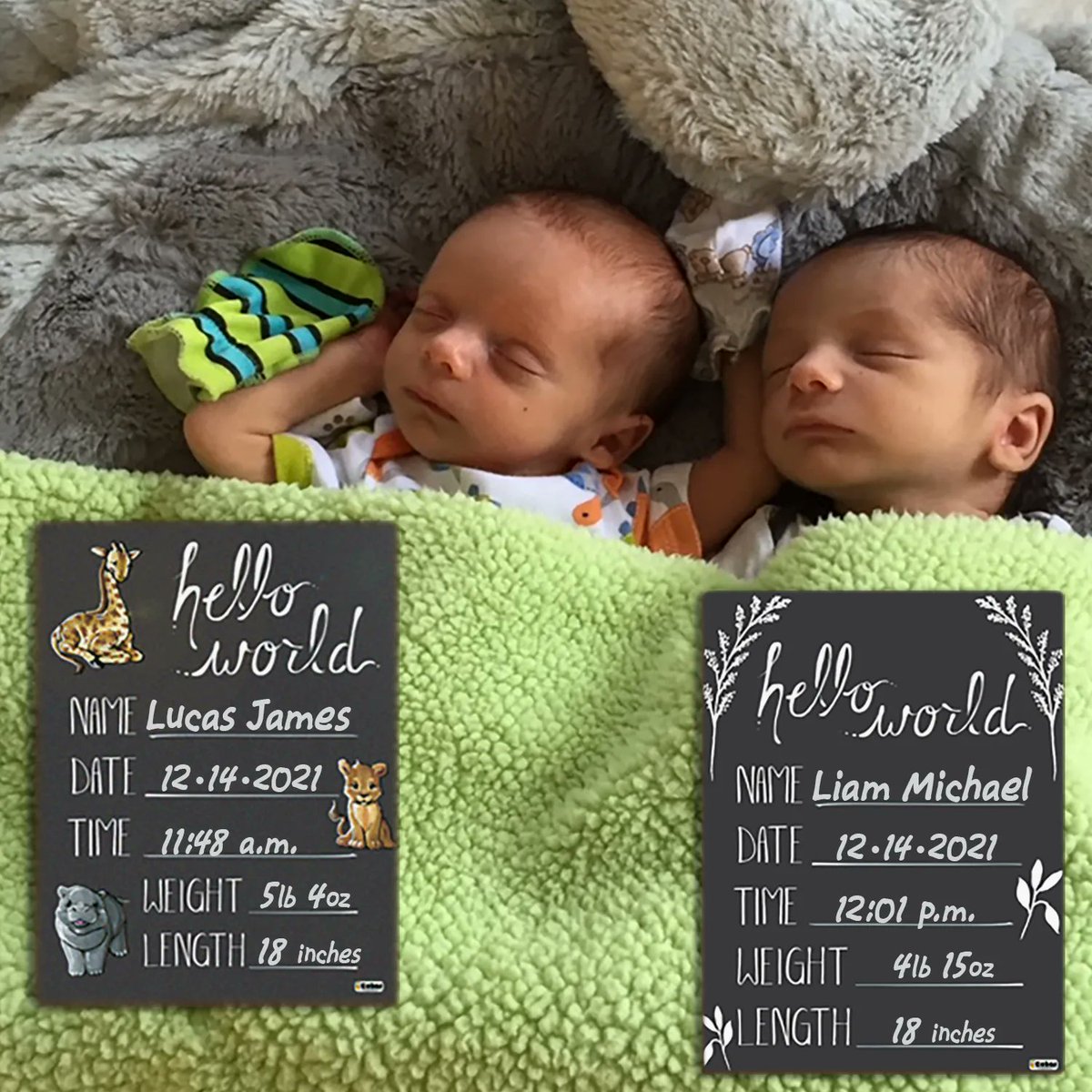Cohas_Co's tweet photo. We reviewed many of available themes and some of the #Handdrawn #ChalkArt #Animals and #ChildHood #Icons we thought you would like to see one in use.

Selected for these little #Twin #Babies was our #Safari #helloWorld #BabyBirth  https://t.co/Wq73UET2rk
#Lion #Giraffe #Hippo https://t.co/uegotZs5Qb