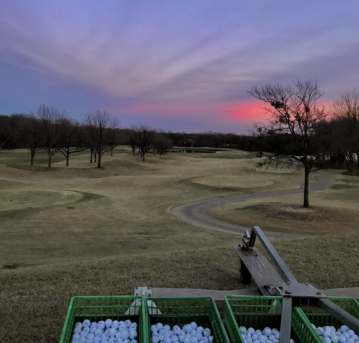 Beau Perry tweet media