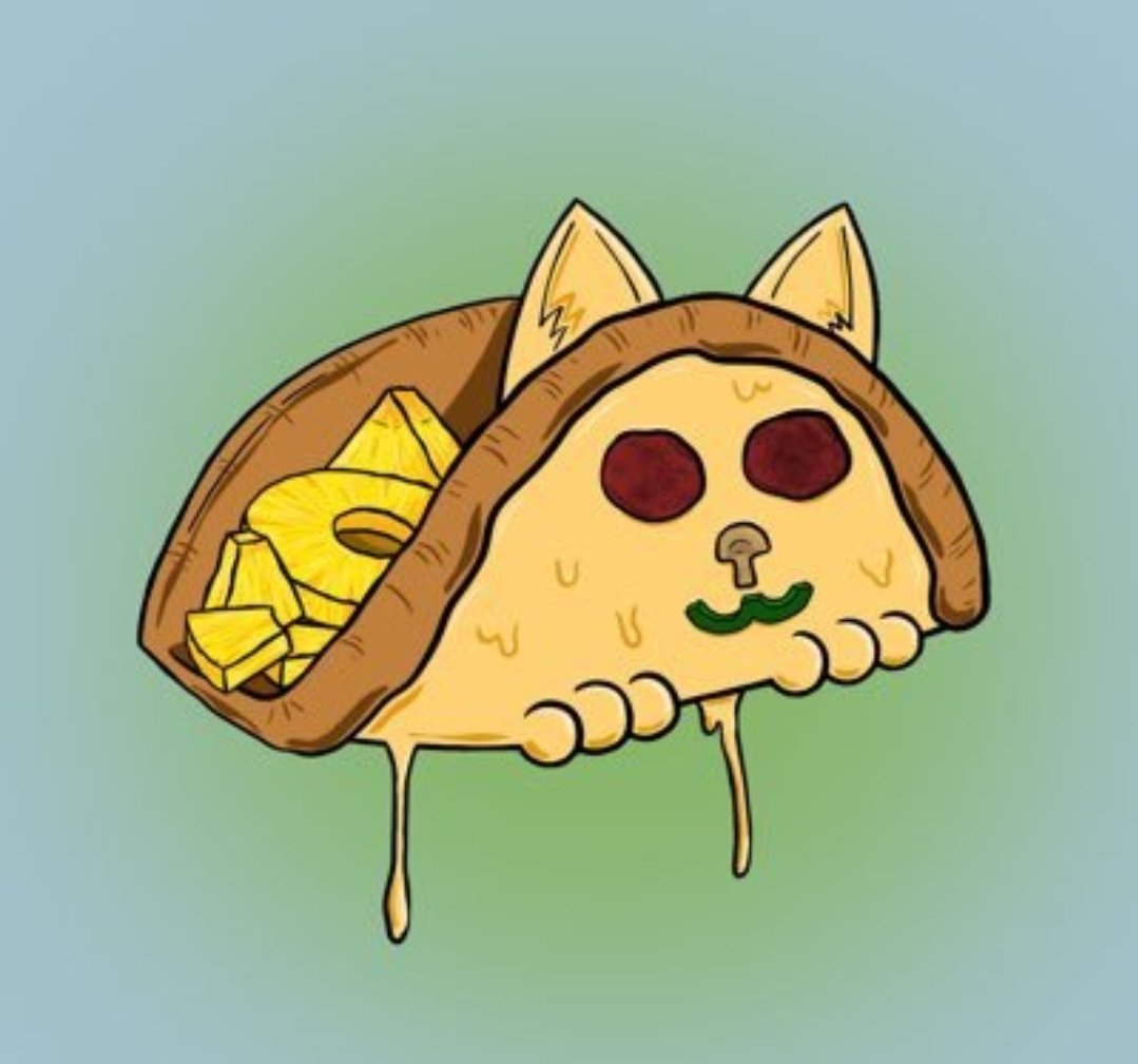 tacocat collective tweet media