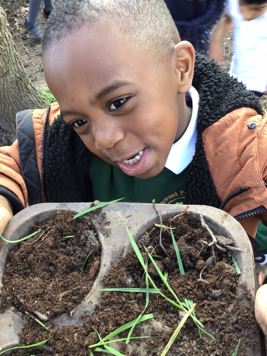 HighwoodPrimF2H's tweet photo. Sunny days bring garden time. Curiosity as the children find different bugs in the garden. They are so very excited to get the ground ready and the seeds planted. #lovespringtime https://t.co/SFiJ3ZPi2q