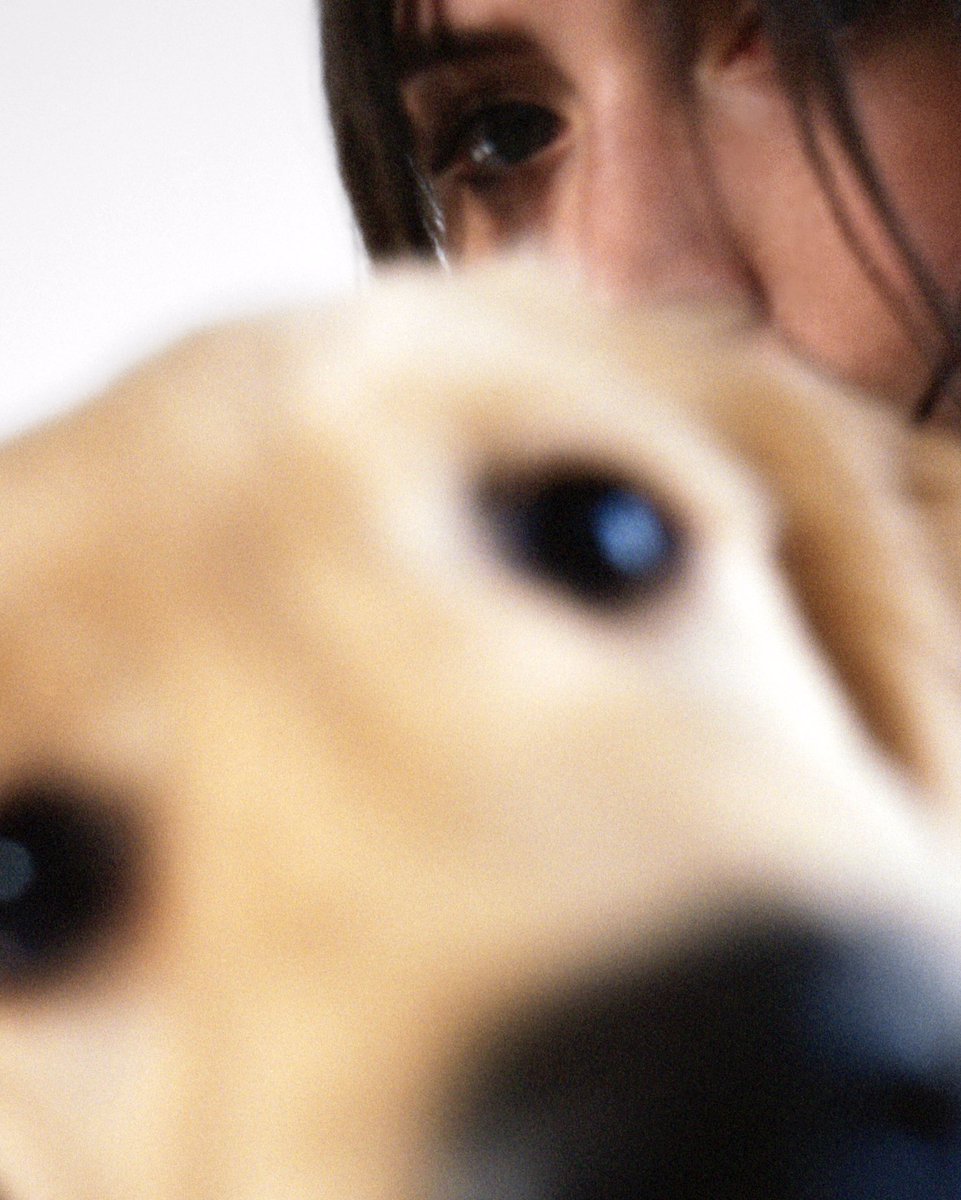 🎵 One year of Puppy

🐾

→ doss.world/1