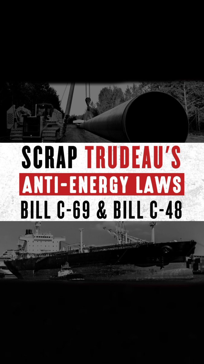 Harmony47383691's tweet photo. What Canada Needs Is #PierrePoilievreForPM .. That’s It .. That’s My Tweet .. End Of Story .. 🧐.. Anybody Else Agree .. #TrudeauHasGotToGo #GuilbeaultHasToGo https://t.co/4OmZeZ4aZr