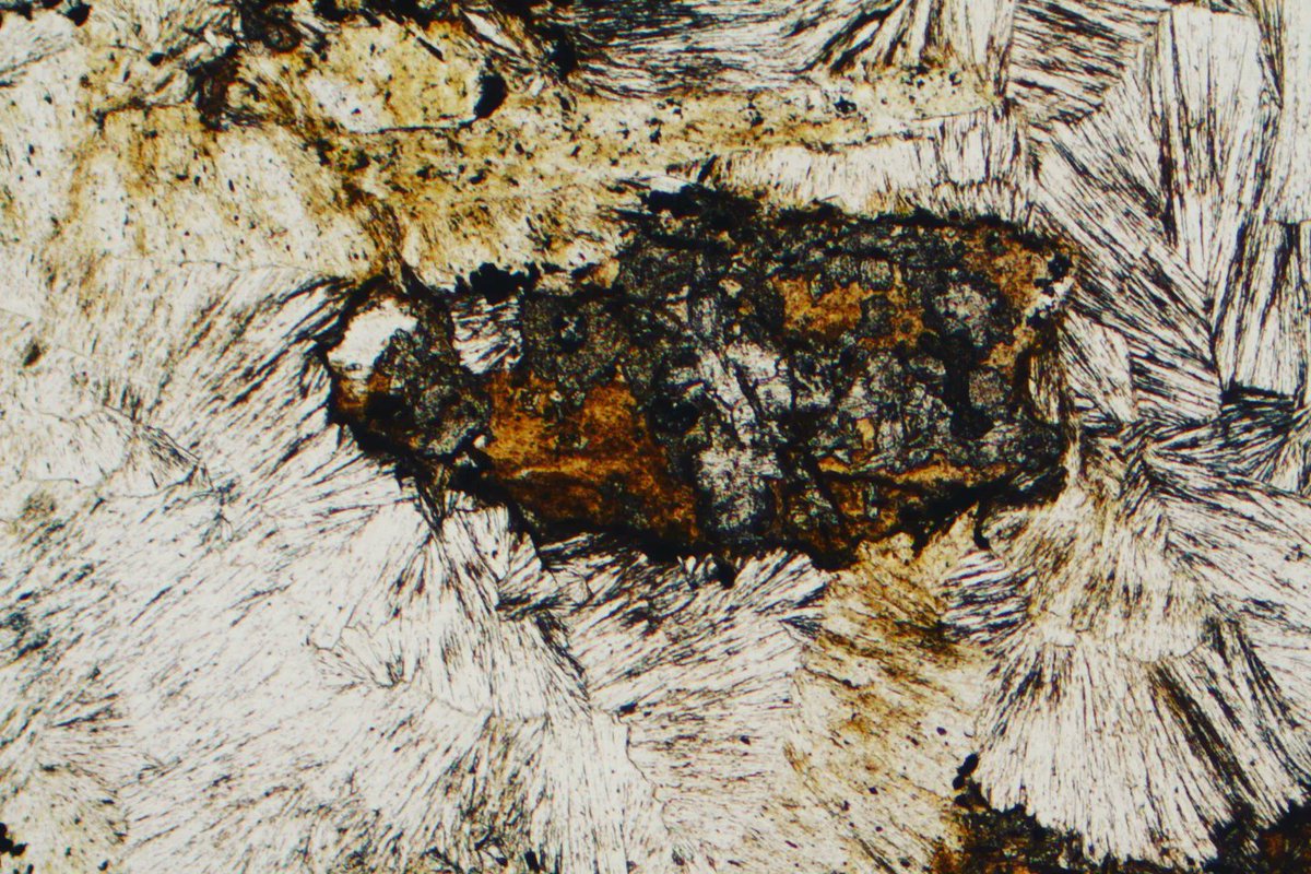 alexstrekeisen's tweet photo. Micaceous, fun-shaped, pyrophillte crystals (colorless at PPL and with very high Interference colors at XPL) in metapelite from. Indian Gulch, Mariposa Country, California (Usa). PPL and XPL Image, 2x (Fov 7 mm)
#thisectionThursday #pyrophyllite https://t.co/kUA1jI60xG