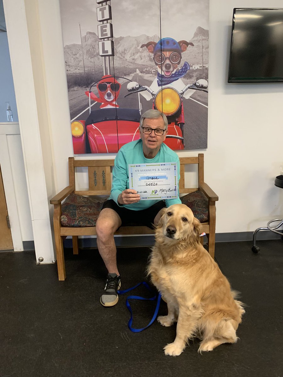 caseyhestermd's tweet photo. Y’all. This is my dad, and his elderly golden retriever Grace. Grace lived her entire life outside and unsocialized until just 6 months ago when my dad rescued her. It’s been a little rough, but today they graduated from PetSmart. I don’t know which of them is more proud 🥺😭🥰 https://t.co/oyYcoPNvGv