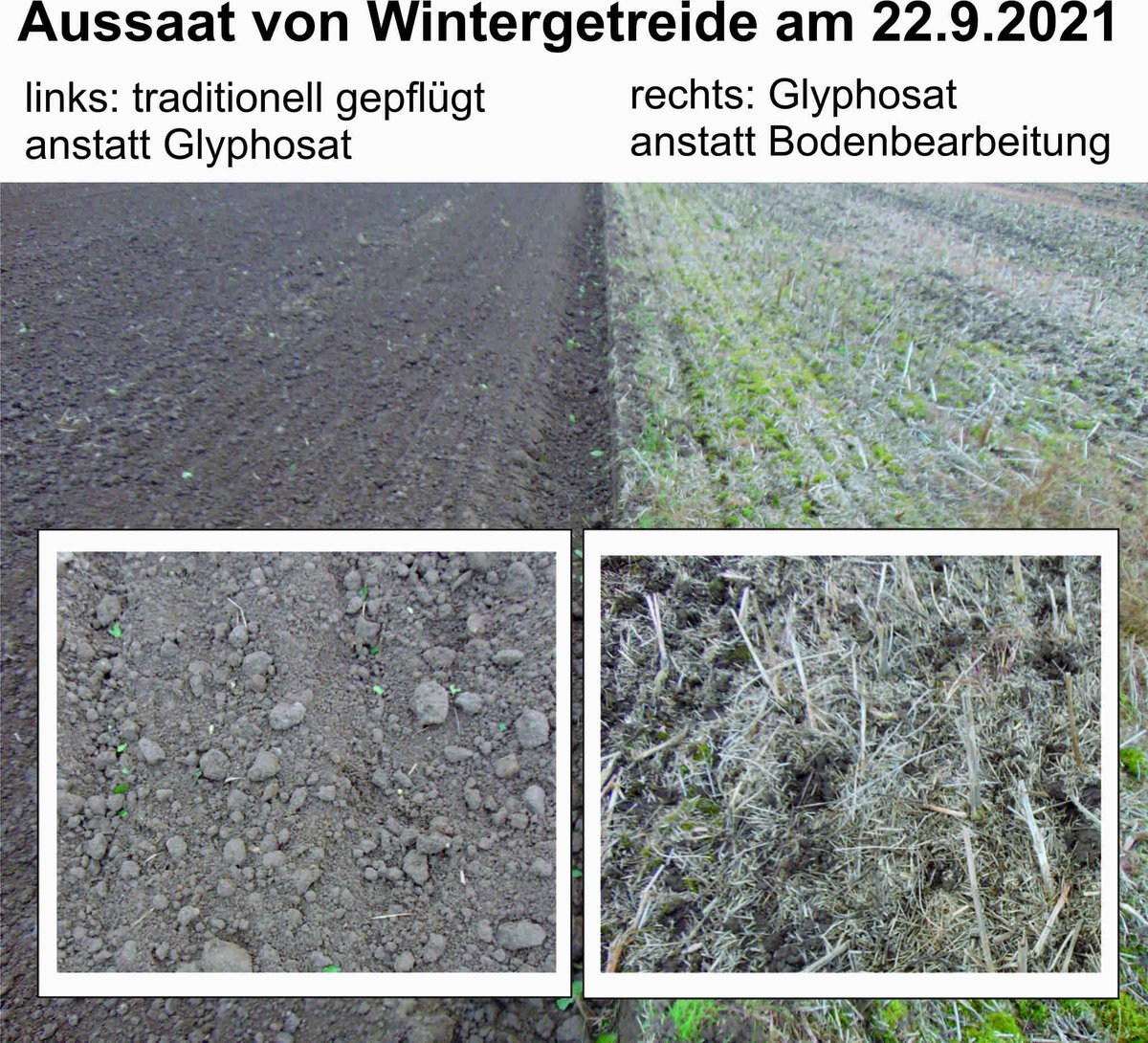 HartwigCallsen's tweet photo. Nochmal zum Verständnis für Laien: unsere Bundesregierung erklärt damit offiziell, dass eine mit Glyphosat behandelte Fläche (rechts) für Insekten &amp; Vögel wertlos sei, während diese sich auf dem bearbeiteten Acker (links) wohlfühlen könnten !! 
#idiokratie https://t.co/mpeWmy9bbC
