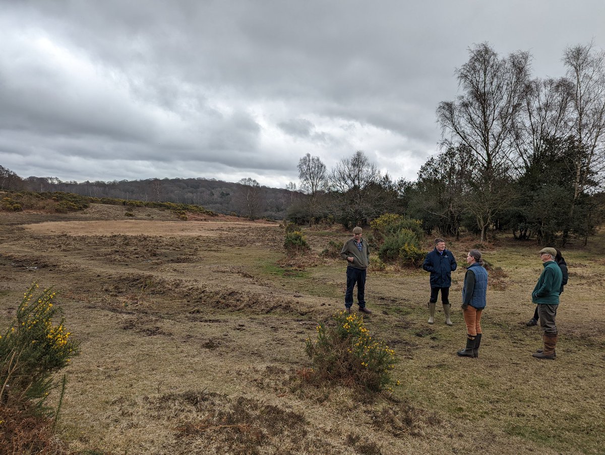 Had the great privilege today or being shown round stunning landscape of the @NewForestNPA by commoners Lyndsey and Rob @Cuffnells . For the eagle eyed that's lowland mire in the background #peatlandmatters @RichardHRBenyon .