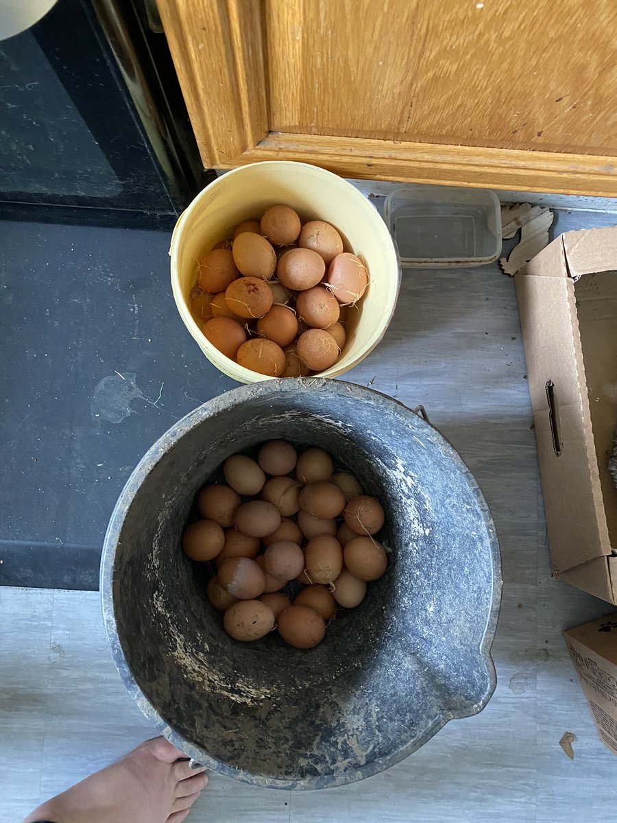 My Smallholding Soul tweet media