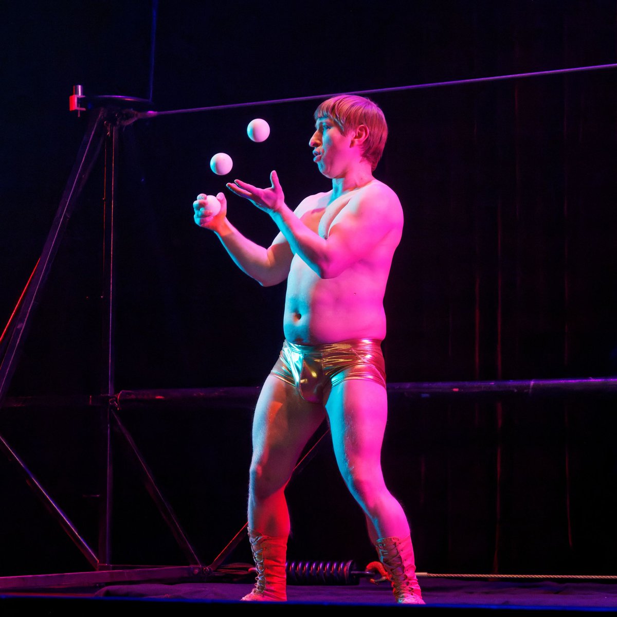 Vespertine Circus tweet media