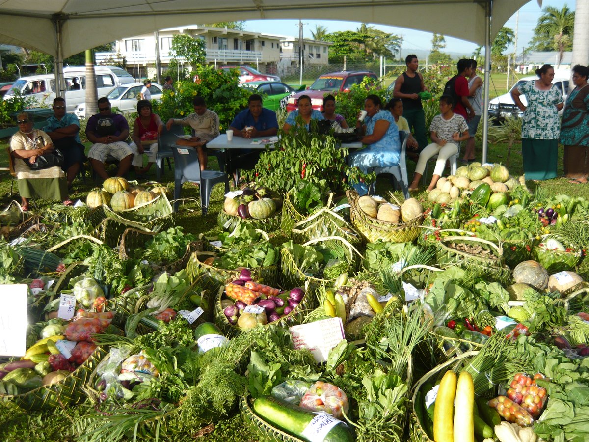 .<a href="/EUPasifika/">EU Pacific 🇪🇺</a> &amp; SPC launched the ‘Safe Agricultural trade Facilitation through Economic integration in the Pacific’ (SAFE Pacific) project to strengthen and enhance #trade capacities designed to improve economic growth in the Pacific.
👉bit.ly/3t18PhT

#PacificAgriculture