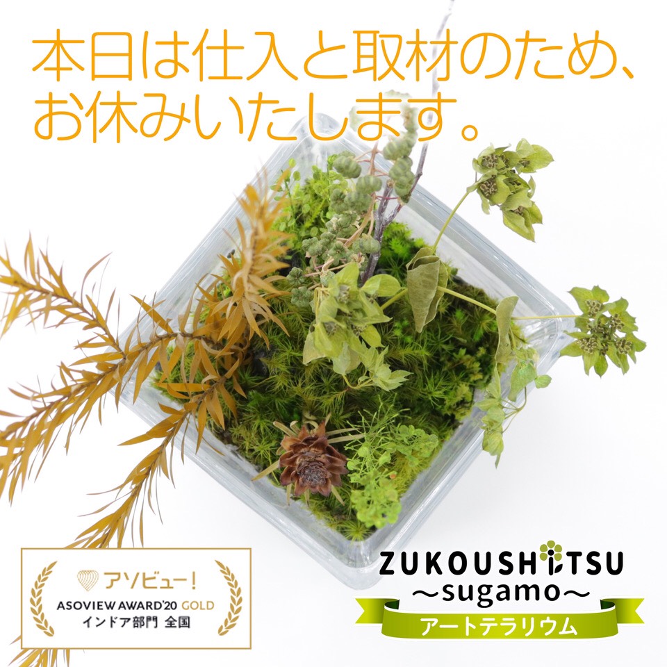 東京体験 Twitter Search Twitter 東京体験 Twitter Search Twitter