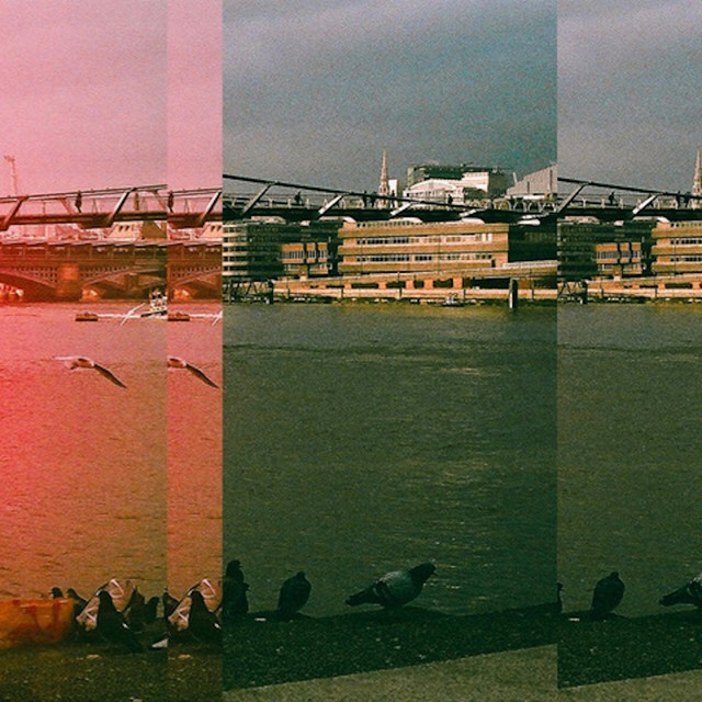 acid stag tweet media