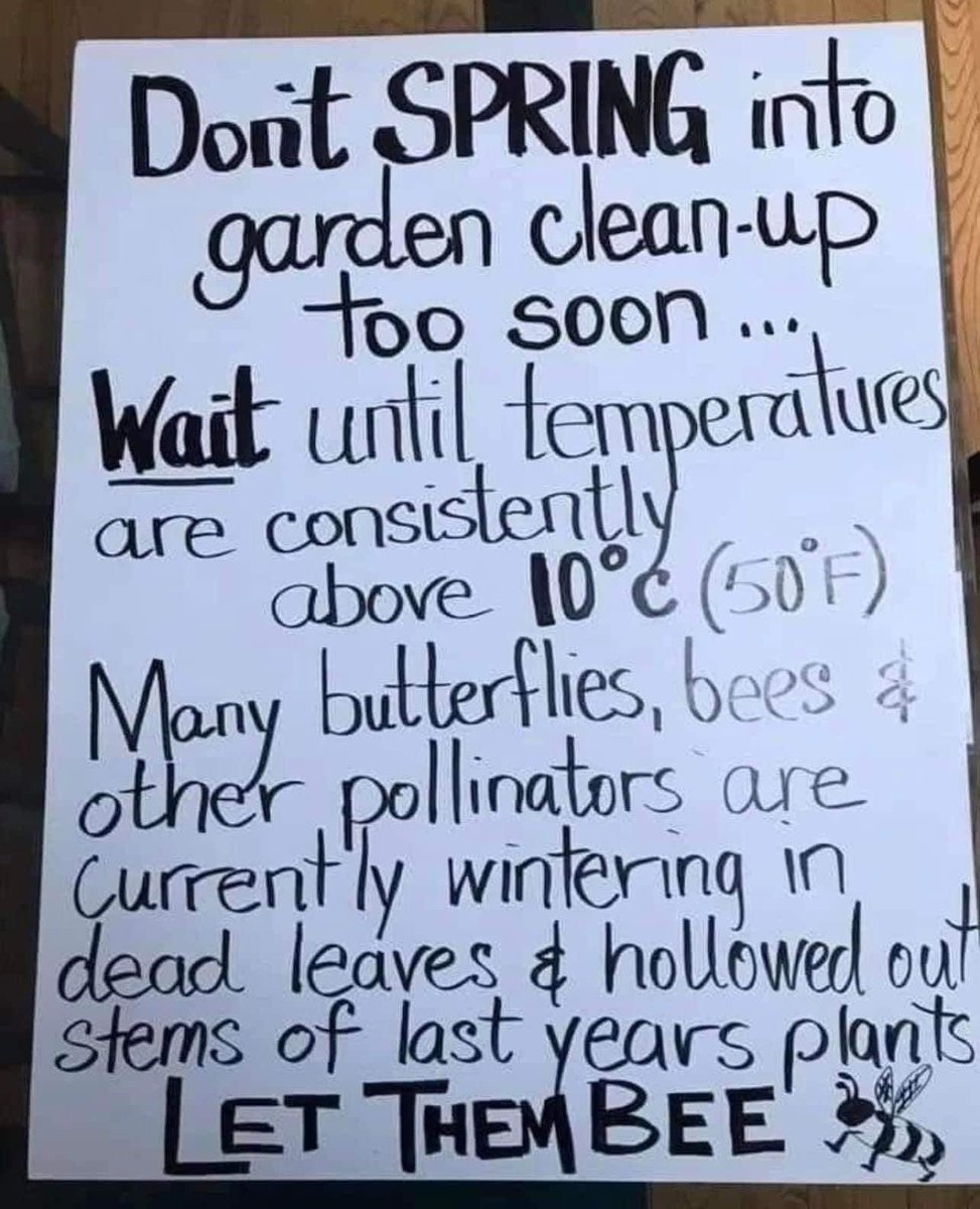 dr_dvus's tweet photo. PSA !!! https://t.co/bPxLWA1VAy