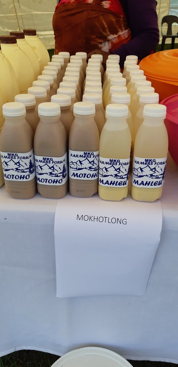 SlowFoodLesotho's tweet photo. Happy #MoshoeshoesDay Basotho! 'Climate proofing of smallholder farmers of Lesotho" launch was all good traditional food &amp; fun yesterday. It was exciting to spend time with our friends @Pelei_s_Farm &amp; @mpho_tsuene 

 #Lstwitter #eatlocal #Lesotho #traditionalfood @EUinLesotho https://t.co/mLRCgvgbq8