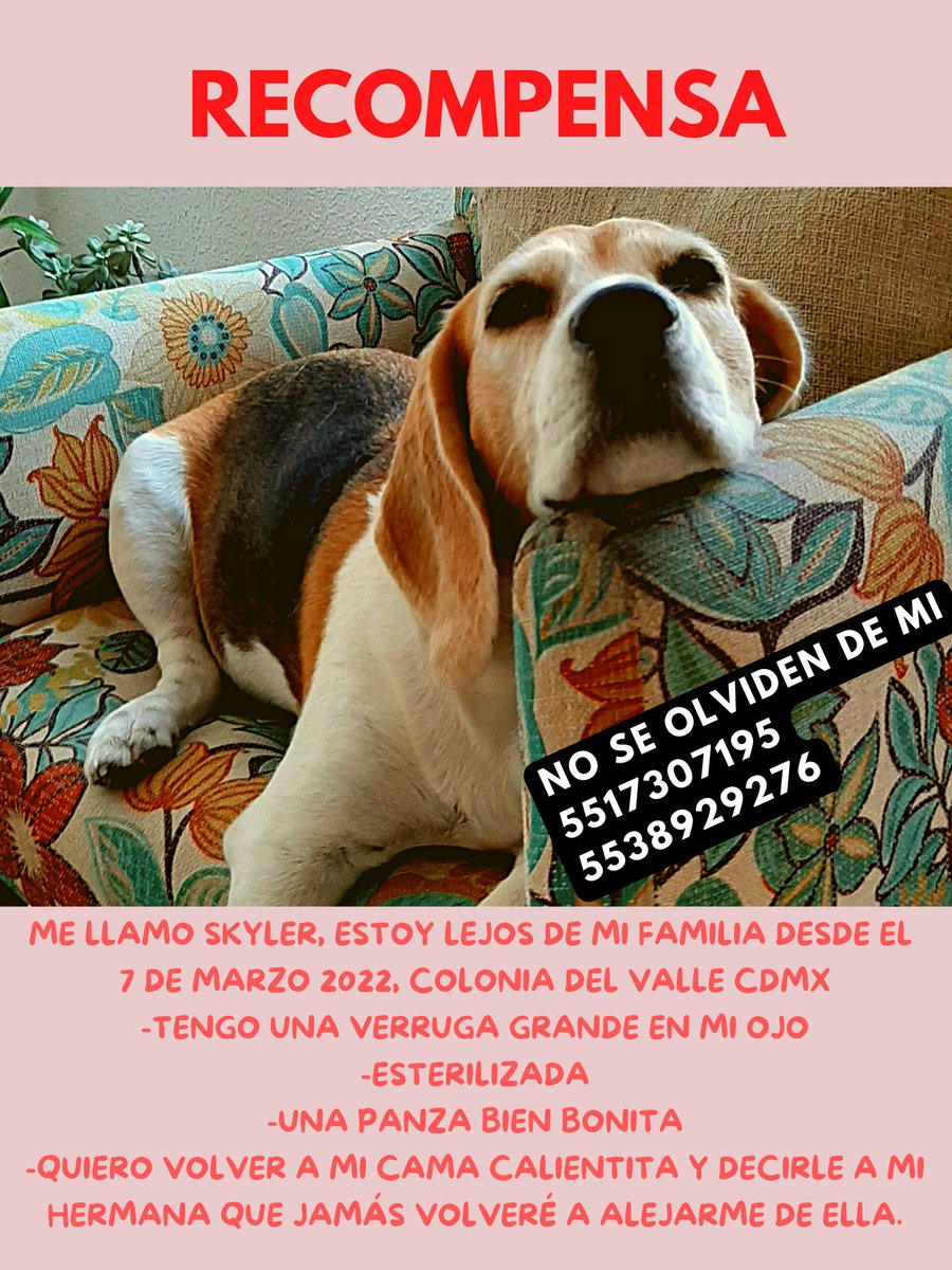 Nat Díaz tweet media