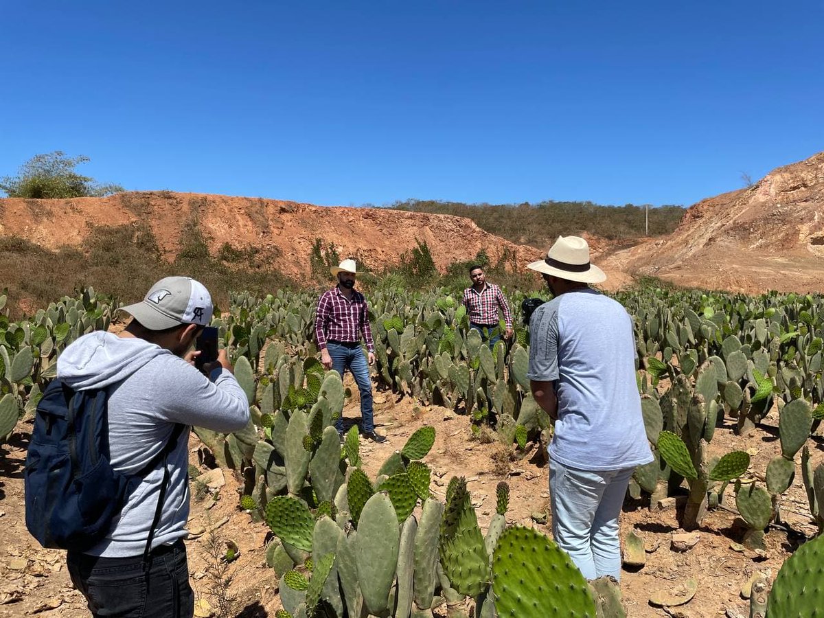 LuzRecord's tweet photo. Así de padre quedo el video 𝐶𝑢𝑎𝑡𝑟𝑜 𝑀𝑖𝑙𝑝𝑎𝑠 al son de la tambora de @estrellasdesinaloa  🤠 Te invitamos a que lo veas a través de YouTube 

#HuyaHuya #LuzRecord #Estrellasdesinaloa #Rancheritas #CuatroMilpas 🌽🚜 https://t.co/6OC242X7Bt