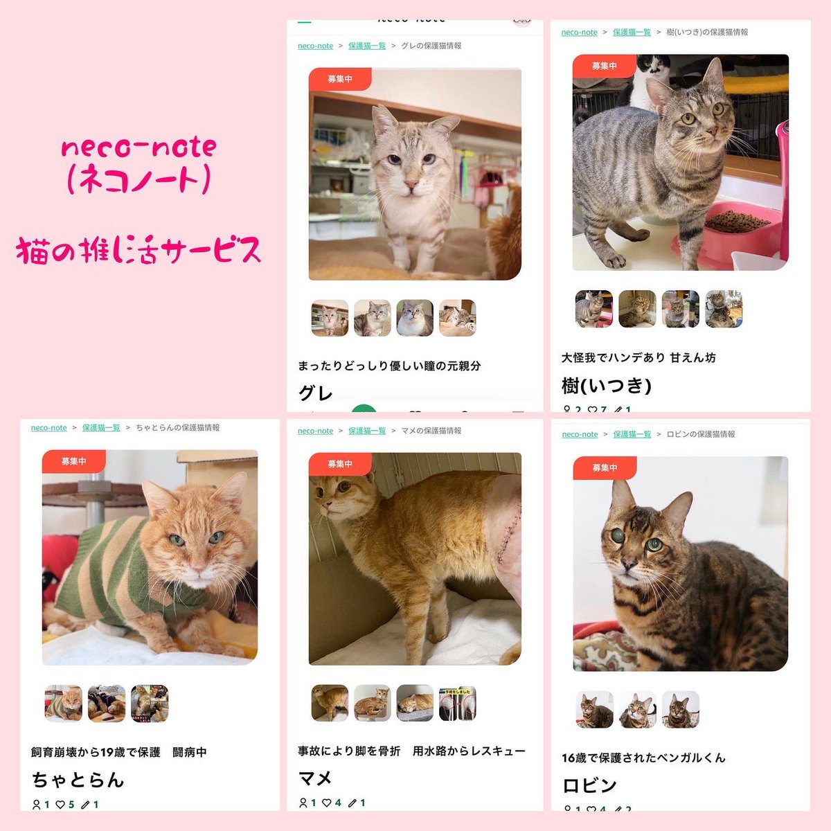 黛純太 猫の推し活ネコノート Jum 1024 Twitter