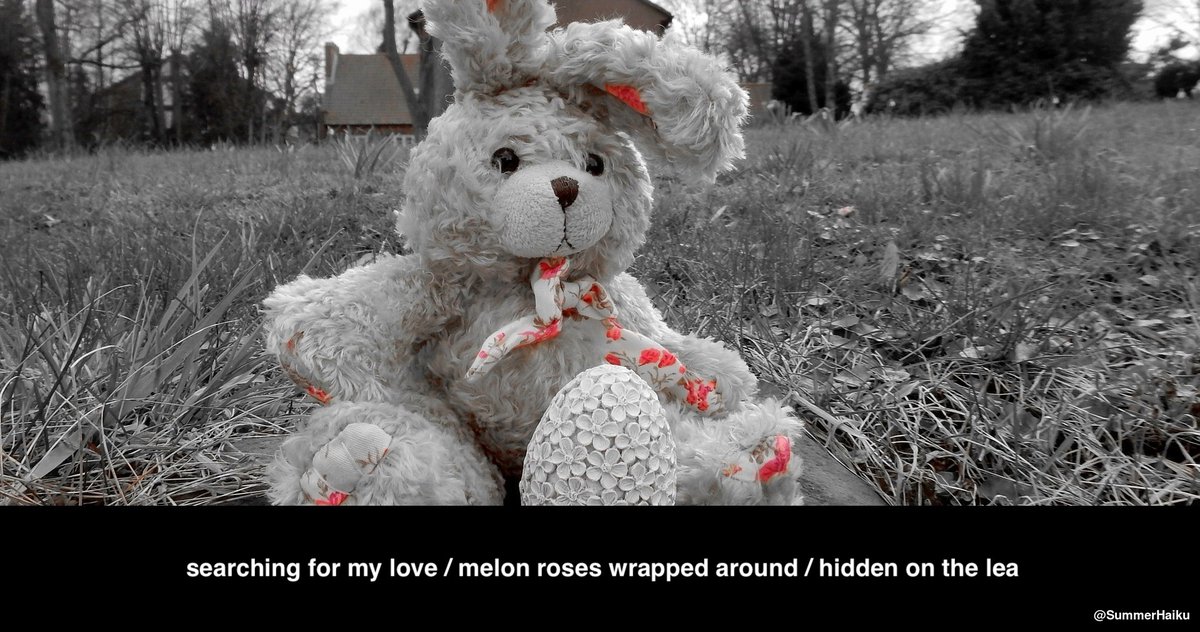 SummerHaiku's tweet photo. searching for my love
melon roses wrapped around
hidden on the lea

#Winter2022 #Haiku #Illumination #Melon https://t.co/KltQozfndl