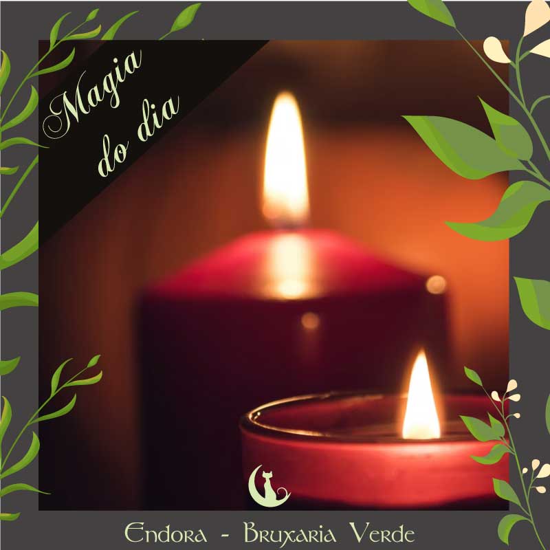 EndoraWicca's tweet photo. CRIE UM ALTAR DOS ANCESTRAIS
Monte o altar para seus ancestrais e faça uma oração todos os dias ao acordar ou ao deitar.
**********🌙*********
https://t.co/j2Sod9Yky5

#endora #bruxariaverde #bruxarianatural #wicca #paganismo #bruxaria #magia #ervas #cotidiano #gatos https://t.co/E4vs66l6qH