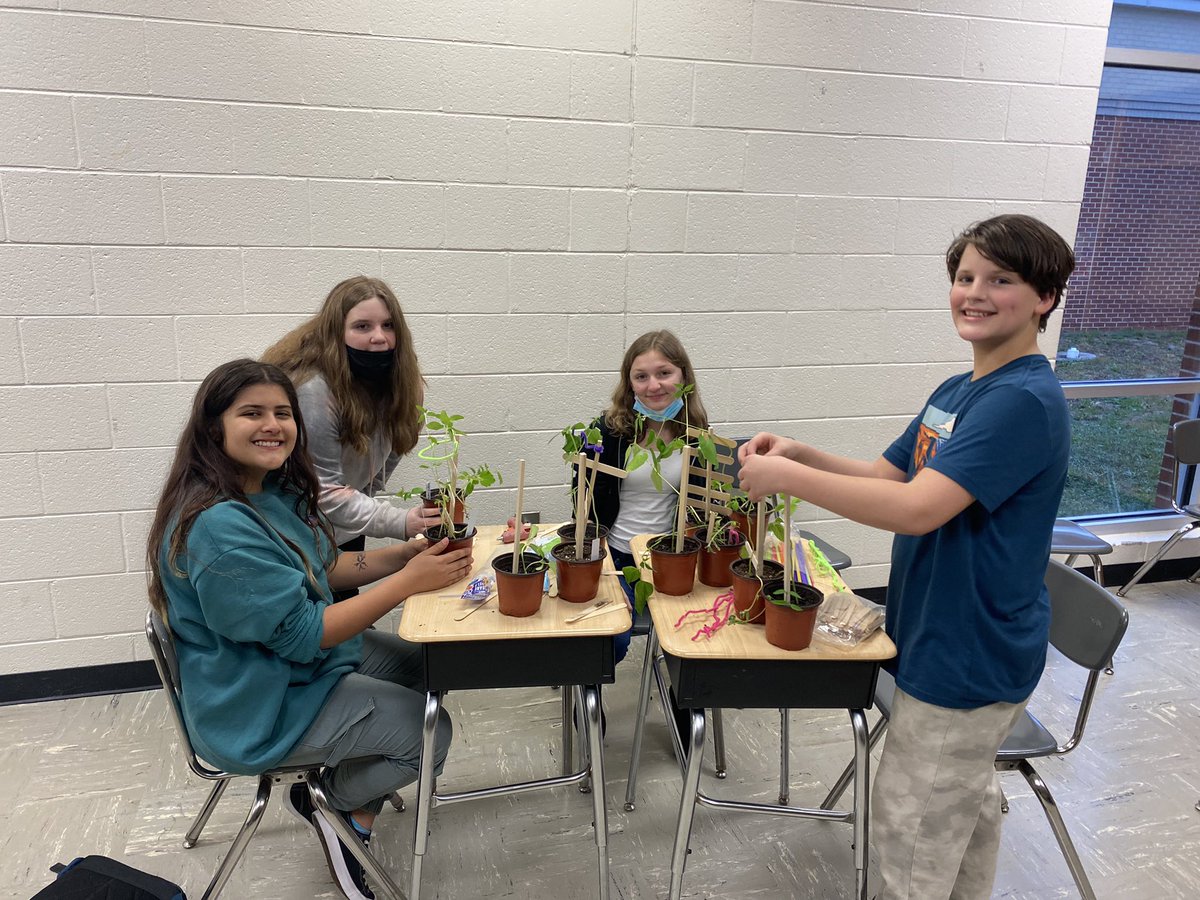 Our gardening club is planting new seeds and enjoying supporting growth of our seedlings! This week we built trellises! @WMSHCS #excited! #gardening #growingfood #growingflowers