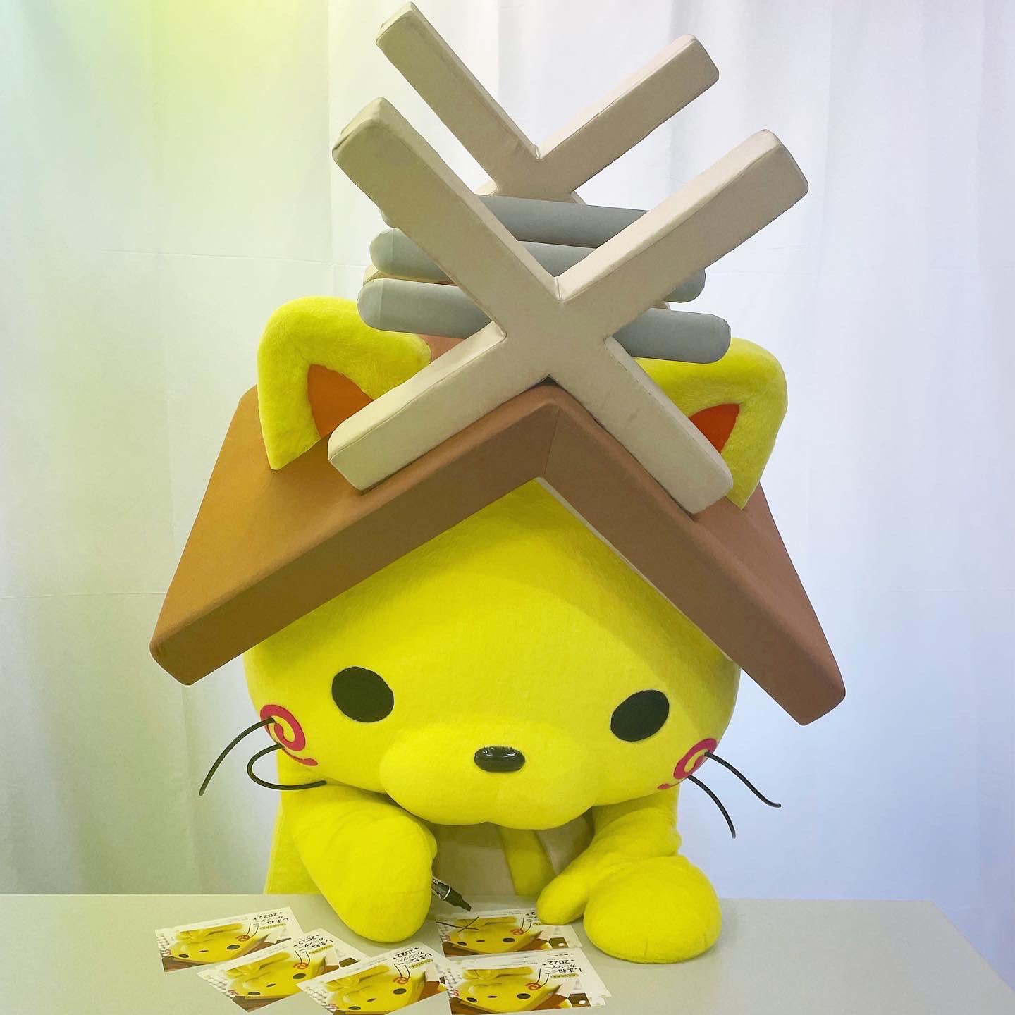流行 しまにゃん専用 その他 Www Smithsfalls Ca