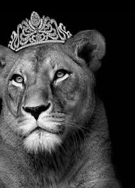 AlkrblayyHyfa's tweet photo. @Haya0698 https://t.co/ocW11qEV9P