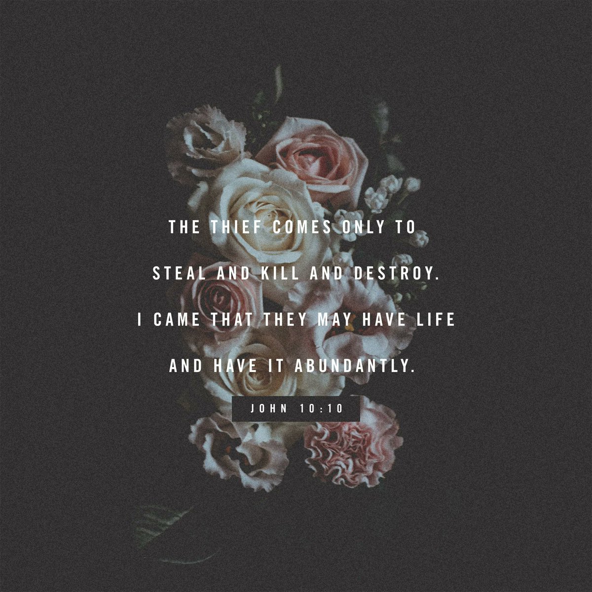 AggosCommunity's tweet photo. Jesus' mission was not just saving us from Hell. He actually wants us to live abundantly. https://t.co/i20AL3bW6S