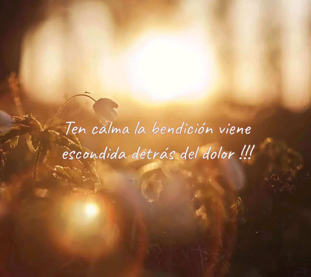 Raúl De Calisto (@rdecalisto) on Twitter photo 