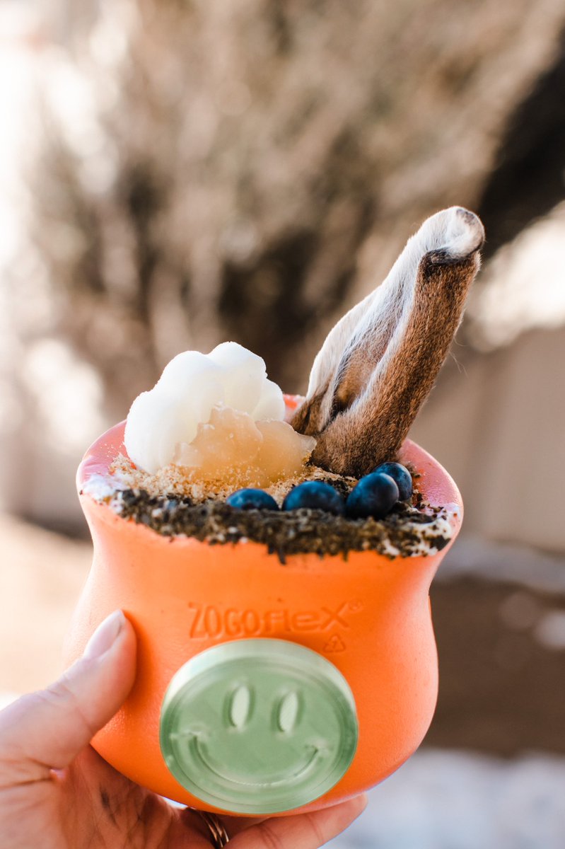 Jasper & Cricket + Katie ᨏ tweet media