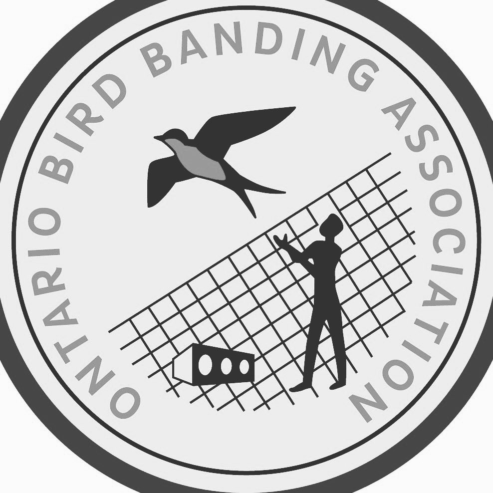 Stu Mackenzie tweet media