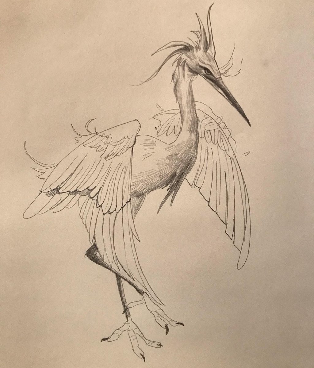 Rezou_Art's tweet photo. #NFTCollection #NFTartists #ArtistOnTwitter #birdwatching #NFTCommunity #AnimalCrossing https://t.co/Ik9mcfskFA