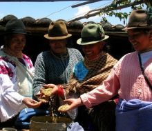 alerprensa's tweet image. #ALER programa "#LatidoIndigena" 
#Ecuador Las mujeres rurales siguen siendo las más desatendidas
#Argentina La atención en salud de las comunidades Qom
#Chile Presentan guía de Recomendaciones Alimentarias Mapuche contra el COVID-19.
👉Escucha aquí 🎧 aler.org/node/9919