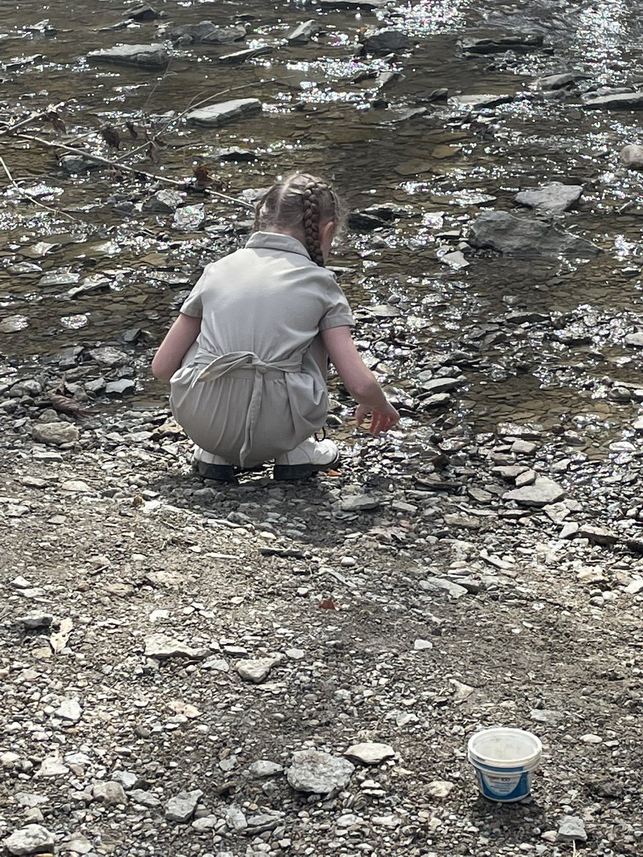 Mrs. Feldkamp tweet media