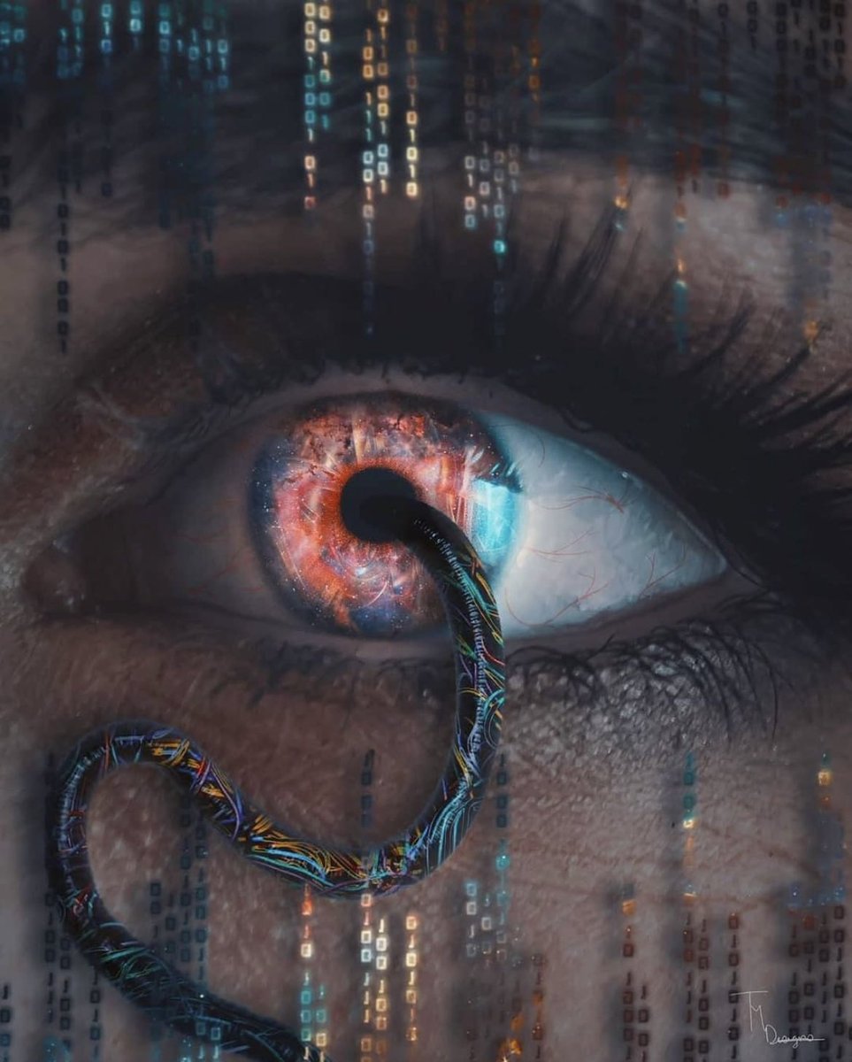 Thomas Dully tweet media