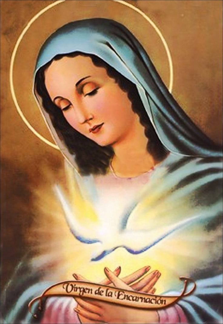 María Jesús Ulea (@uleajesus) on Twitter photo <a href="/Noris39783822/">Noris</a> <a href="/newkike1/">@newkike</a> <a href="/Diosaqui007/">Gladys Mendez</a> <a href="/mickycastanedac/">👣💙 Maria</a> <a href="/mjarmas08/">Maria Armas</a> <a href="/ANABERTHAValde4/">ANA BERTHA Valdez De Sainz</a> <a href="/MerchyEstrella/">Merchy🇻🇪</a> <a href="/abejaworld/">Silvia Hermida</a> <a href="/Sabirmasih11/">Sabirmasih</a> <a href="/MyrIR5/">Myr 😊😇</a> <a href="/ELIZABETHNRE/">ELIZABETH ROMERO</a> <a href="/d_mhg/">Maria H. G.</a> <a href="/Alejand33563944/">Alejandro Rivas</a> <a href="/oscardozou/">oscar e cardozo u</a> <a href="/lazaroyanes1/">lazaro yanes</a> <a href="/grrhodriguez/">gloria rodriguez</a> <a href="/pgnora/">Nora Piña Ghazzaoui</a> <a href="/Florecitajaibit/">Flor lolín</a> <a href="/ErikaSi96000027/">Jacqueline</a> <a href="/ariherrera4215/">ya no tengo está cuenta</a> <a href="/ernitaca26/">Ernis</a> <a href="/neronmcn/">Michel Neron</a> <a href="/SANFERALE/">Be Vila Señoráns</a> <a href="/blavadoj/">BEA 🦋</a> @NAYCA4 <a href="/d_mhg2014/">María H. G.</a> <a href="/JoseMar39201355/">Jose Martínez</a> <a href="/Migueln18076774/">Miguel Ángel Huerta</a> <a href="/julyprado40/">Julia Prado</a> <a href="/ana_maria987/">Ana Maria Grimao</a> <a href="/XimPete/">Familia Olguin Pobl</a> <a href="/Lmaria_victoria/">Maria Victoria 🇦🇷🏹🎯✝️📿</a> <a href="/CoachWilmarR/">Reflexiones</a> <a href="/juanitadesilvio/">Juanita</a> <a href="/solechesoluma/">Antonia Palacios #𝔏𝔦𝔤𝔞𝔇𝔢𝔊𝔲𝔢𝔯𝔯𝔢𝔯𝔬𝔰</a> <a href="/makave1954/">Maricarmen Malaver</a> <a href="/MLucia_martinez/">Lucia Martinez</a> <a href="/Relizabara/">Rhina Aragon</a> <a href="/anselmina07/">Anselmina</a> <a href="/bernardettance/">Bernadette Ancelle</a> <a href="/esedonluis64/">Luis Peña</a> <a href="/Susympb/">Susy</a> <a href="/RosiB_C/">Rosi_BC</a> <a href="/arauorinoco/">arauca orinoco</a> <a href="/JohannArleyR/">Johann</a> <a href="/pachas14/">Francisco Esparza</a> <a href="/soybenito7/">Benito... 🐧</a> <a href="/nelida_mirtha/">Mirtha Nelida Castro</a> #RezandoElRosarioDeMaría
Hoy Ofrecemos el #SantoRosario.
Por la salud de;
🌻El niñito Benjamin Lopez.
Que tiene cáncer a sus huesos, Señor te rogamos humildemente por su sanación.. <a href="/Noris39783822/">Noris</a> <a href="/newkike1/">@newkike</a> <a href="/Diosaqui007/">Gladys Mendez</a> <a href="/mickycastanedac/">👣💙 Maria</a> <a href="/mjarmas08/">Maria Armas</a> <a href="/ANABERTHAValde4/">ANA BERTHA Valdez De Sainz</a> <a href="/MerchyEstrella/">Merchy🇻🇪</a> <a href="/abejaworld/">Silvia Hermida</a> <a href="/Sabirmasih11/">Sabirmasih</a> <a href="/MyrIR5/">Myr 😊😇</a> <a href="/ELIZABETHNRE/">ELIZABETH ROMERO</a> <a href="/d_mhg/">Maria H. G.</a> <a href="/Alejand33563944/">Alejandro Rivas</a> <a href="/oscardozou/">oscar e cardozo u</a> <a href="/lazaroyanes1/">lazaro yanes</a> <a href="/grrhodriguez/">gloria rodriguez</a> <a href="/pgnora/">Nora Piña Ghazzaoui</a> <a href="/Florecitajaibit/">Flor lolín</a> <a href="/ErikaSi96000027/">Jacqueline</a> <a href="/ariherrera4215/">ya no tengo está cuenta</a> <a href="/ernitaca26/">Ernis</a> <a href="/neronmcn/">Michel Neron</a> <a href="/SANFERALE/">Be Vila Señoráns</a> <a href="/blavadoj/">BEA 🦋</a> @NAYCA4 <a href="/d_mhg2014/">María H. G.</a> <a href="/JoseMar39201355/">Jose Martínez</a> <a href="/Migueln18076774/">Miguel Ángel Huerta</a> <a href="/julyprado40/">Julia Prado</a> <a href="/ana_maria987/">Ana Maria Grimao</a> <a href="/XimPete/">Familia Olguin Pobl</a> <a href="/Lmaria_victoria/">Maria Victoria 🇦🇷🏹🎯✝️📿</a> <a href="/CoachWilmarR/">Reflexiones</a> <a href="/juanitadesilvio/">Juanita</a> <a href="/solechesoluma/">Antonia Palacios #𝔏𝔦𝔤𝔞𝔇𝔢𝔊𝔲𝔢𝔯𝔯𝔢𝔯𝔬𝔰</a> <a href="/makave1954/">Maricarmen Malaver</a> <a href="/MLucia_martinez/">Lucia Martinez</a> <a href="/Relizabara/">Rhina Aragon</a> <a href="/anselmina07/">Anselmina</a> <a href="/bernardettance/">Bernadette Ancelle</a> <a href="/esedonluis64/">Luis Peña</a> <a href="/Susympb/">Susy</a> <a href="/RosiB_C/">Rosi_BC</a> <a href="/arauorinoco/">arauca orinoco</a> <a href="/JohannArleyR/">Johann</a> <a href="/pachas14/">Francisco Esparza</a> <a href="/soybenito7/">Benito... 🐧</a> <a href="/nelida_mirtha/">Mirtha Nelida Castro</a> #RezandoElRosarioDeMaría
Hoy Ofrecemos el #SantoRosario.
Por la salud de;
🌻El niñito Benjamin Lopez.
Que tiene cáncer a sus huesos, Señor te rogamos humildemente por su sanación..