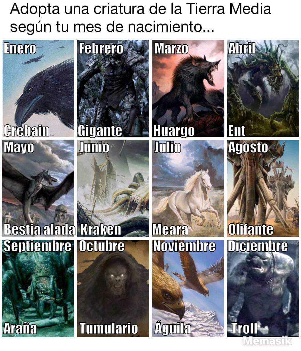 fingolfin032's tweet photo. #X_Kili_X
¿Que criatura tenéis que adoptar según vuestro mes de nacimiento?
Yo a #Crebain https://t.co/e9uKIqi2MS