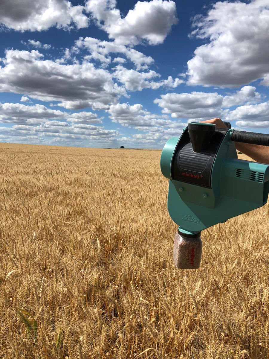 minibattuy's tweet photo. #VerdadesNoEscritasDeAgronomia
1 tt de urea es más costosa que 1 #Minibatt https://t.co/6x3XRMJiWq