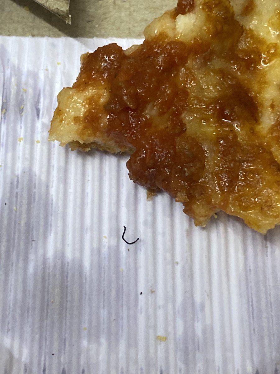 TeamSuperRhythm's tweet photo. @dominos @dominos_india METAL WIRE IN MY PIZZA??? WHAT KIND OF SERVICE AND QUALITY IS THIS? Such a big brand and such quality, so dangerous. PLEASE CONSIDER THIS URGENT https://t.co/UcmS2JGD8d