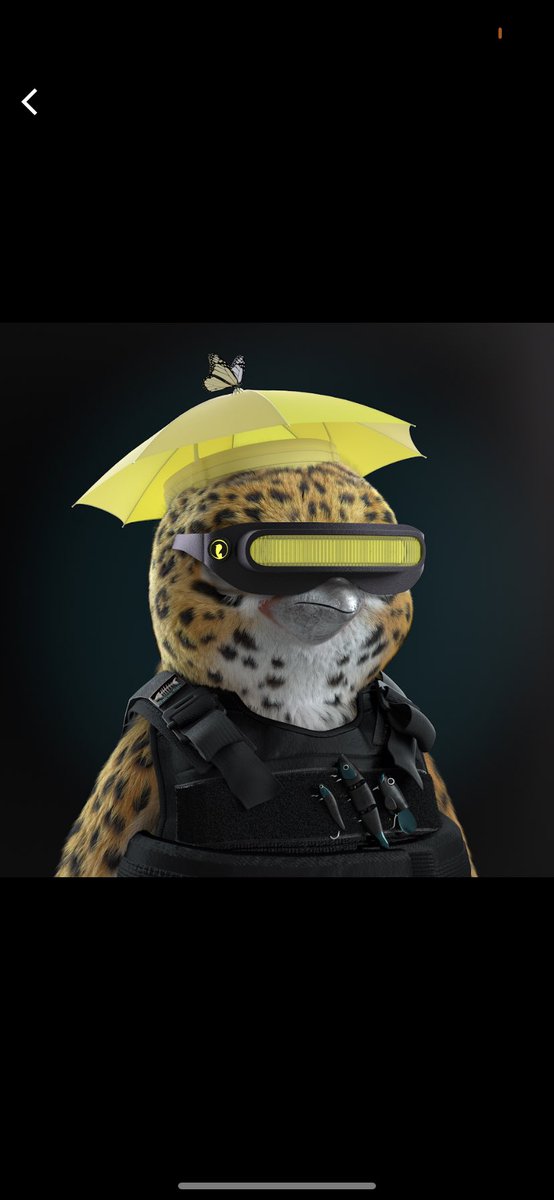 Conor_james21's tweet photo. @mekatech2 @cyhnft2 Buy this bad boy https://t.co/Dtl5GFJZJR
