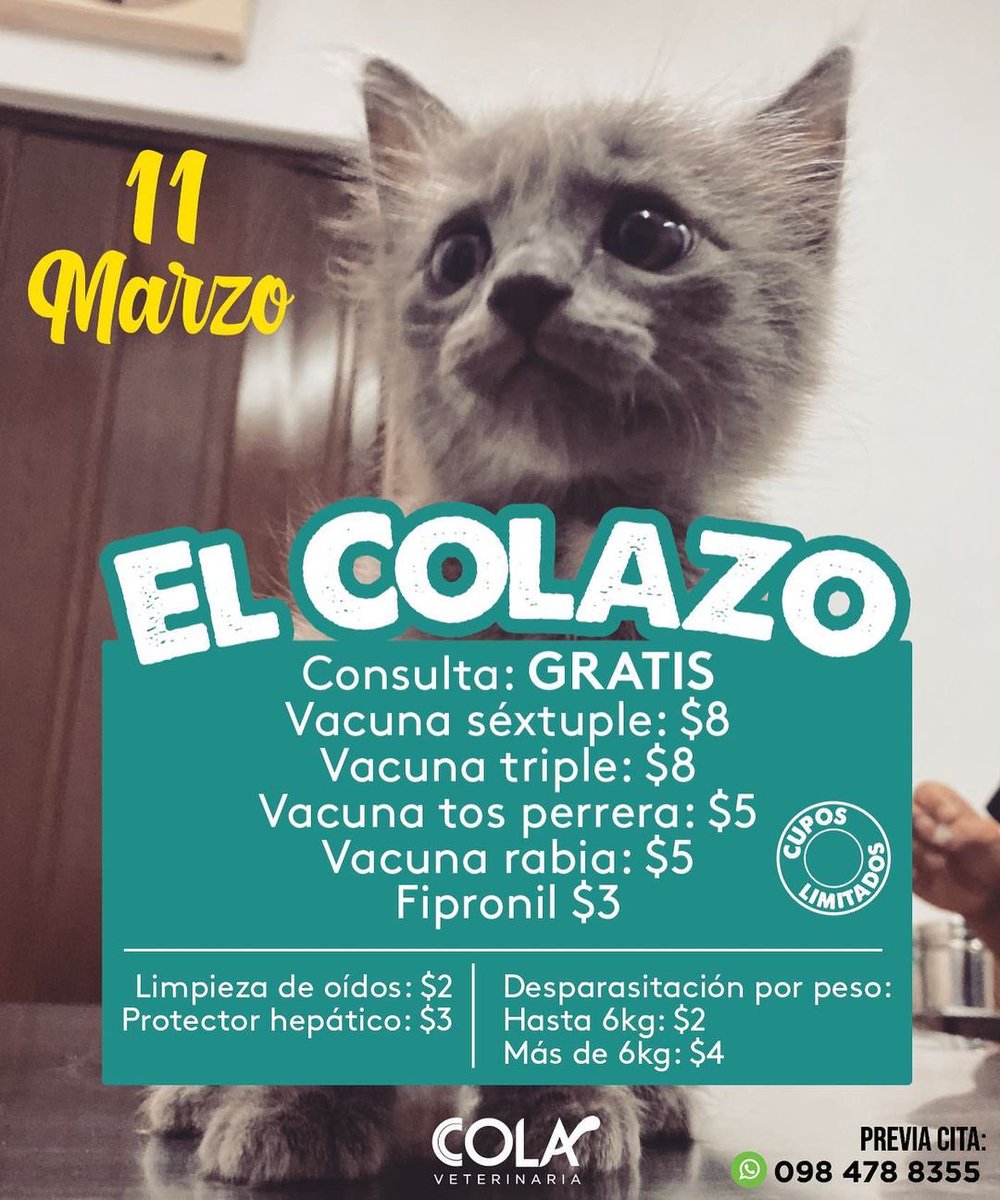 COLAcentro's tweet photo. Mañana vuelve #ElColazo!!!!!

Campaña de salud animal a BAJO COSTO, solo por el jueves 11 de marzo.

Consulta gratis y otros servicios a muy bajo costo, para que tus perros y gatos 🐶🐱 estén protegidos.

Saca tu cita al fono del post.
Las Orquídeas. https://t.co/BGzLA1HpA5