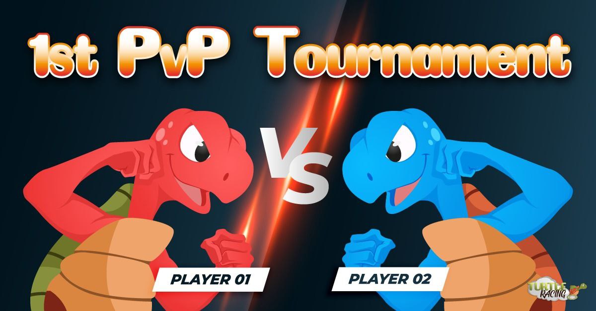 Turtle Racing tweet media