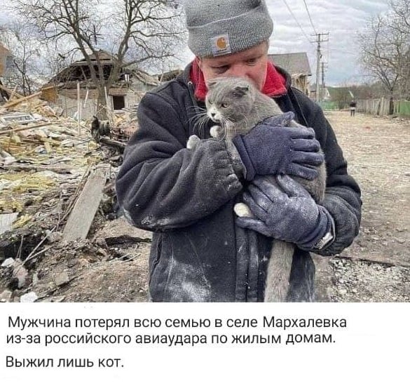 PrettyOddThings's tweet photo. This man lost all his family after Russian aviation bombed his house. Cat is the only member who survived.
#SaveUkraineNow
#ClosetheSkyoverUkraine
#NATOclosetheskyoverUA
#saveUkrainePeople https://t.co/LF1ipStrzH