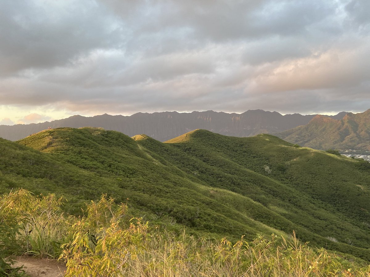 rees_da's tweet image. Beautiful Sunrise hike up the pillbox trail