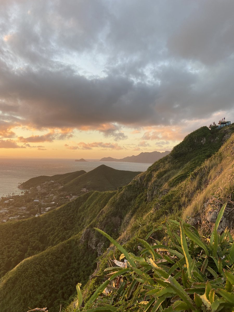 rees_da's tweet image. Beautiful Sunrise hike up the pillbox trail