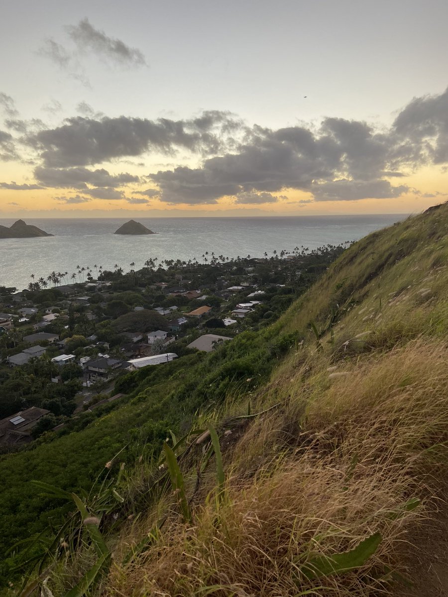 rees_da's tweet image. Beautiful Sunrise hike up the pillbox trail
