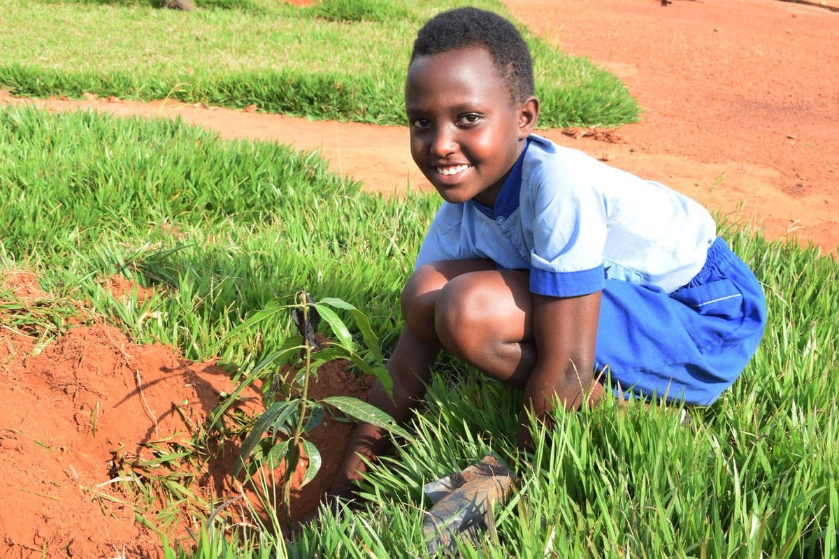 Where trees grow,people grow | Rusaro is proud to be in school environmental club