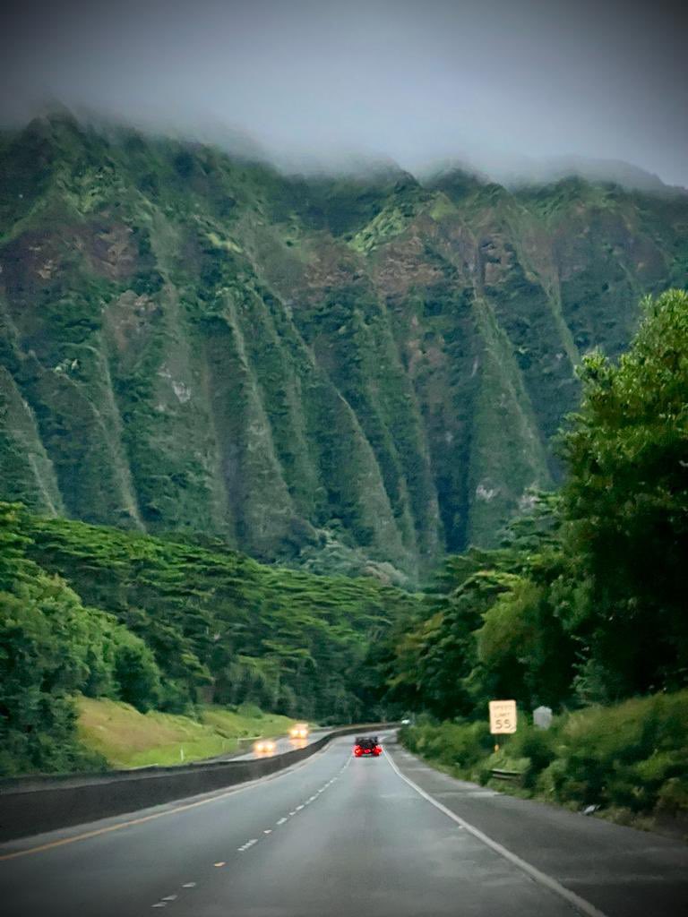 rees_da's tweet image. Stunning beaches, scenery and sunsets #hawaiiparadise