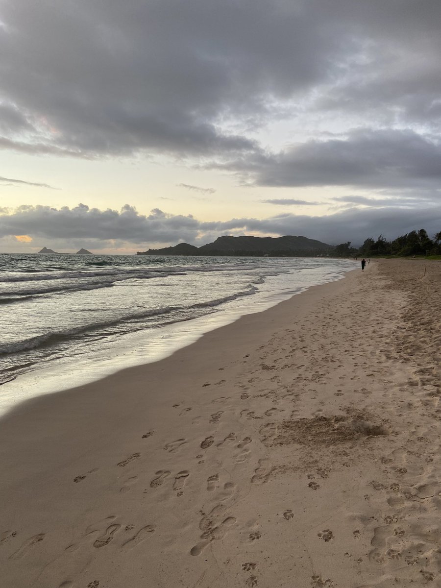 rees_da's tweet image. Stunning beaches, scenery and sunsets #hawaiiparadise