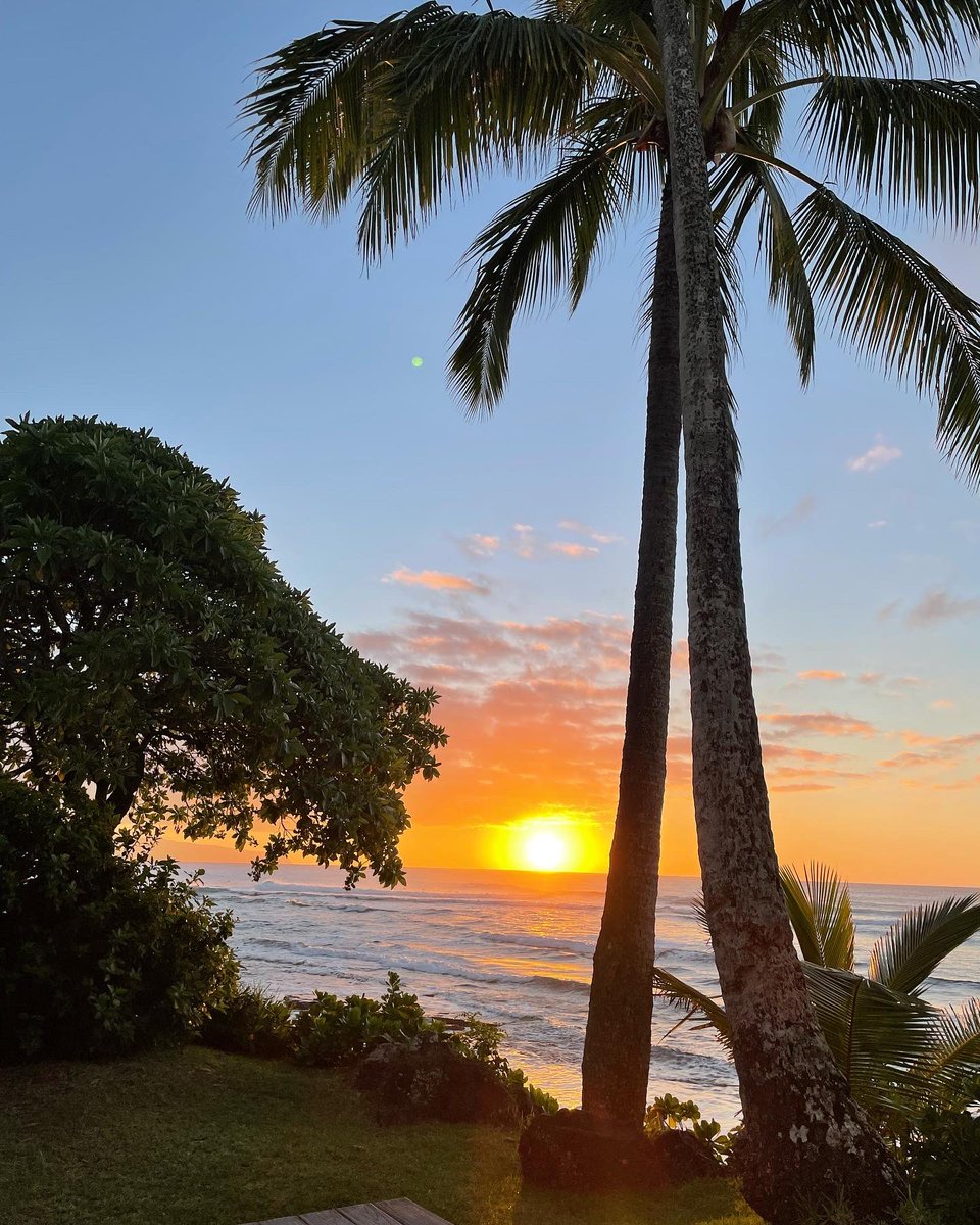 rees_da's tweet image. Stunning beaches, scenery and sunsets #hawaiiparadise