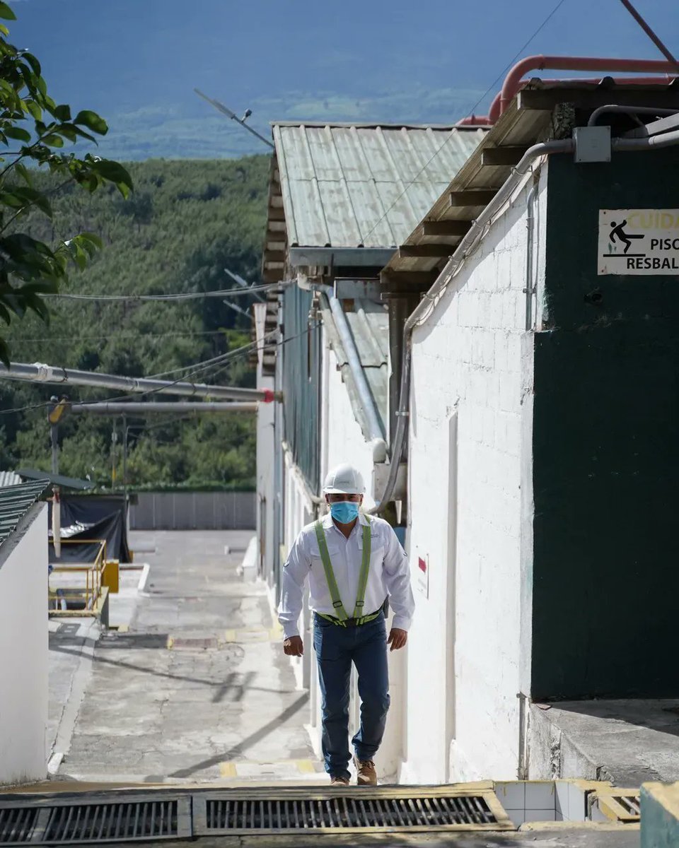 thrivefarmers's tweet photo. Quality Control
.
To bring you the best cup of coffee, it takes a lot of quality control. Step by step, we walk around the mill to ensure the beans the farmers grow are processed with the highest standards in the industry.
.
#Quality #Coffee #ThriveFarmers #KnowYourCoffee https://t.co/7LiGedEA7O